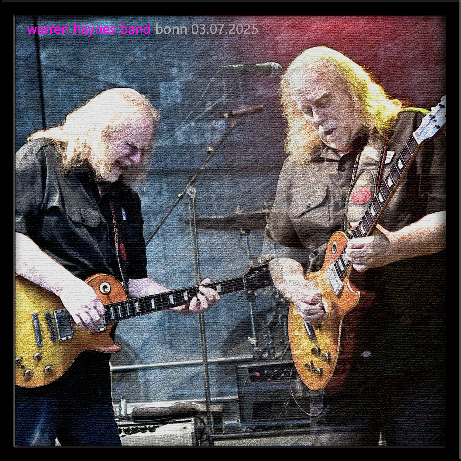WarrenHaynesBand2025-07-03Kunst!rasenFestivalBonnGermany (4).jpg